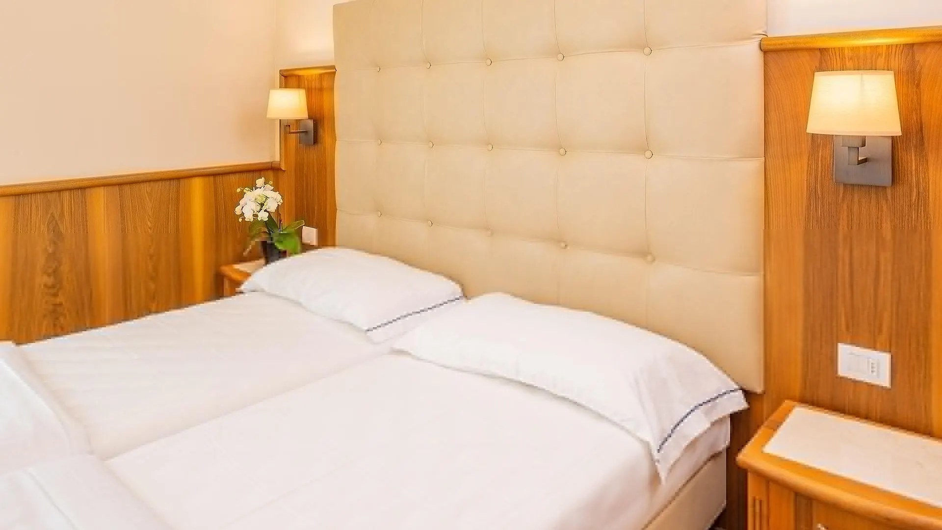 Hotel Centrale Garda